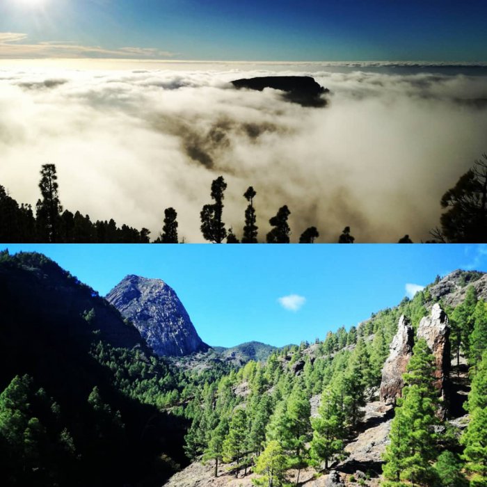 Nature sauvage dans la Gomera