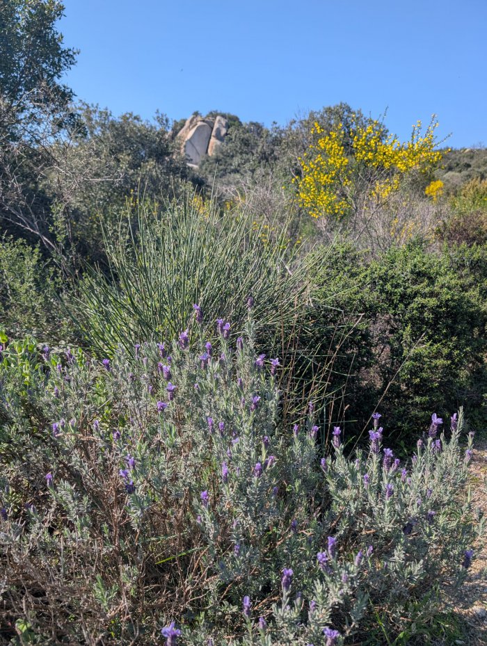 C'est le printemps !