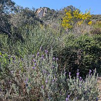 C'est le printemps !