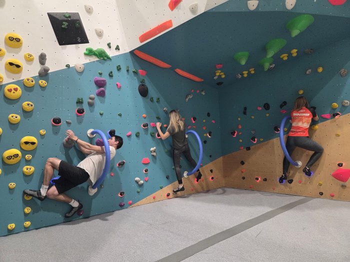 cours escalade adultes